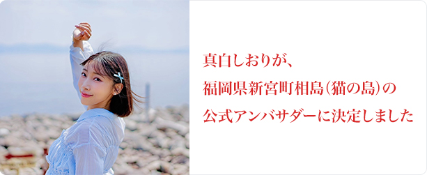 真白しおり
